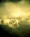 Cowboys at Sunrise, Central Oregon 32970 Horse Wall Art Home Decor Art