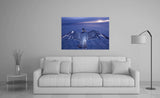 Peregrine Falcon (digital composite)! FO-4365 Bird Wall Art