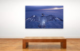 Peregrine Falcon (digital composite)! FO-4365 Bird Wall Art