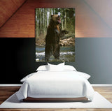 Grizzly Bear, Alaska! FO-4669