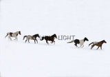 Horses Running Free in Winter, Montana! MS-7381 Horse Wall Art
