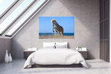 Beautiful White Horse Caught Rearing in Provence, France 22125
