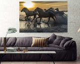 Beautiful White Horse Running Through Water in Provence, Frances 35015
