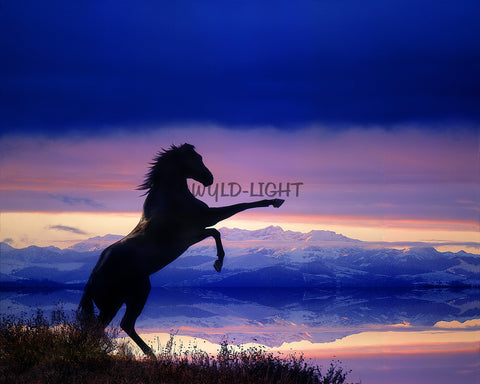 Rearing Horse and Mountain Landscape, Digital Composite! FO-1300