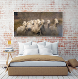 White Horses of the Camargue Galloping in Provence, France 10473