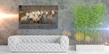 White Horses of the Camargue Galloping in Provence, France 10473