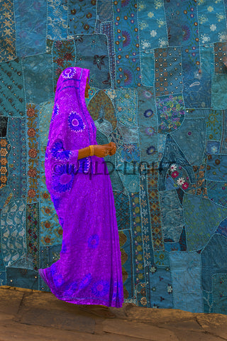 Woman in Front of Tapestry, Jodhpur, Rajasthan, India 21610 Modern Art