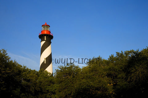 St. Augustine Light, St. Augustine, Florida! MS-9594 Print Photography