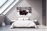 Grizzly Bear Cub Playing in the Snow, Alaska! MS-2845 Bear Wall Art