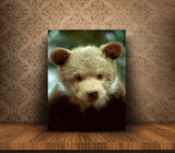 Grzzly bear cub, Montana! MS-4016 Bear Wall Art Home Decor Art