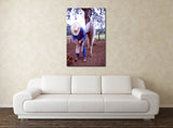 Cowboy Shoeing a Horse in Central California! MS-5906 Horse Wall Art