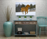 Horse Running Free, Montana! MS-6702 Horse Wall Art Home Decor Art