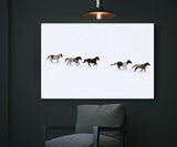 Horses Running Free in Winter, Montana! MS-7381 Horse Wall Art