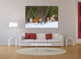 Horses Running in Snow, near Kalispell, Montana! MS-8670 Horse Art