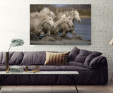 White Horses of the Camargue, Provence, France! MS-9248 Horse Wall Art