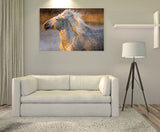 White Horses of the Camargue, Provence, France! MS-9265 Horse Wall Art