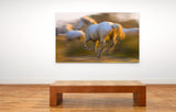 White Horses of the Camargue, France at Sunset! MS-9277 Horse Wall Art