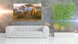 White Horses of the Camargue, France at Sunset! MS-9277 Horse Wall Art