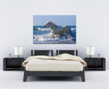 White Horses of the Camargue, Provence, France! MS-9386 Horse Wall Art