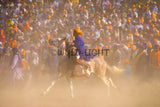 Horsemanship Hollamohallo festival, Anandpursahib, Punjab, India 11803