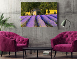 A Farmhouse with a Lush Field of Lavender in Provence, France FO-4900