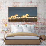 Reflection of White Horses Galloping Through the Ocean in France 22061