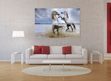 The Playing Stallions: Horses of the Camargue in Provence, France 22106