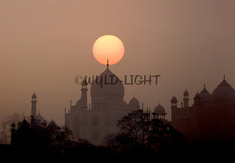 The Taj Mahal at Sunset, Agra, India! 11728A Home Decor Art