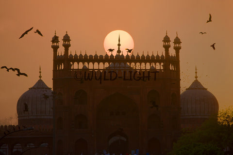 Sunset at Jama Masjid, Old Delhi, India! 11826 Scenic Photography