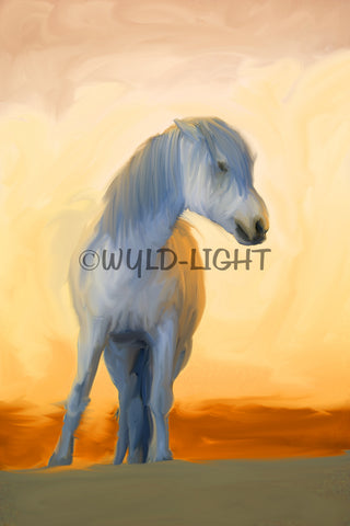 White Horse of the Camargue, Provence, France! 28408