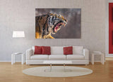 Siberian Tiger Letting You Know Who's The Boss, Northeast China! 25524