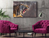 Siberian Tiger Letting You Know Who's The Boss, Northeast China! 25524